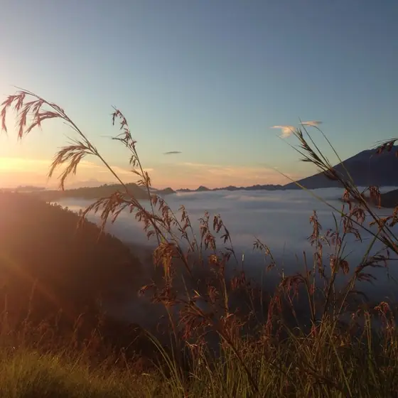 Morning mist over Kintamani